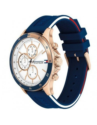 Montre Homme Tommy Hilfiger 1791778 (Ø 46 mm) hantent personnes